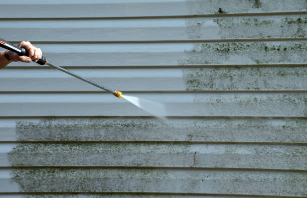 Best Fence Cleaning  in Tampa, FL